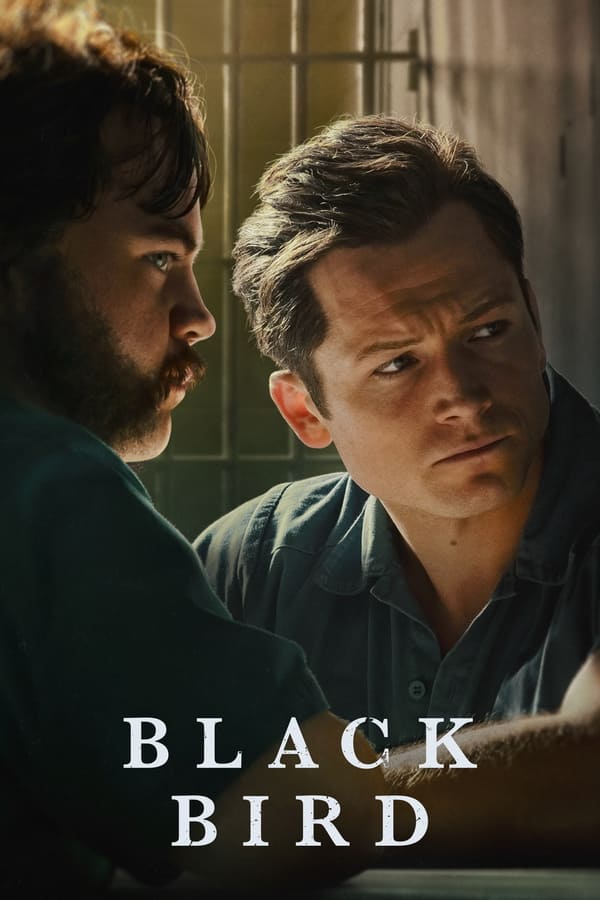 Black Bird S01